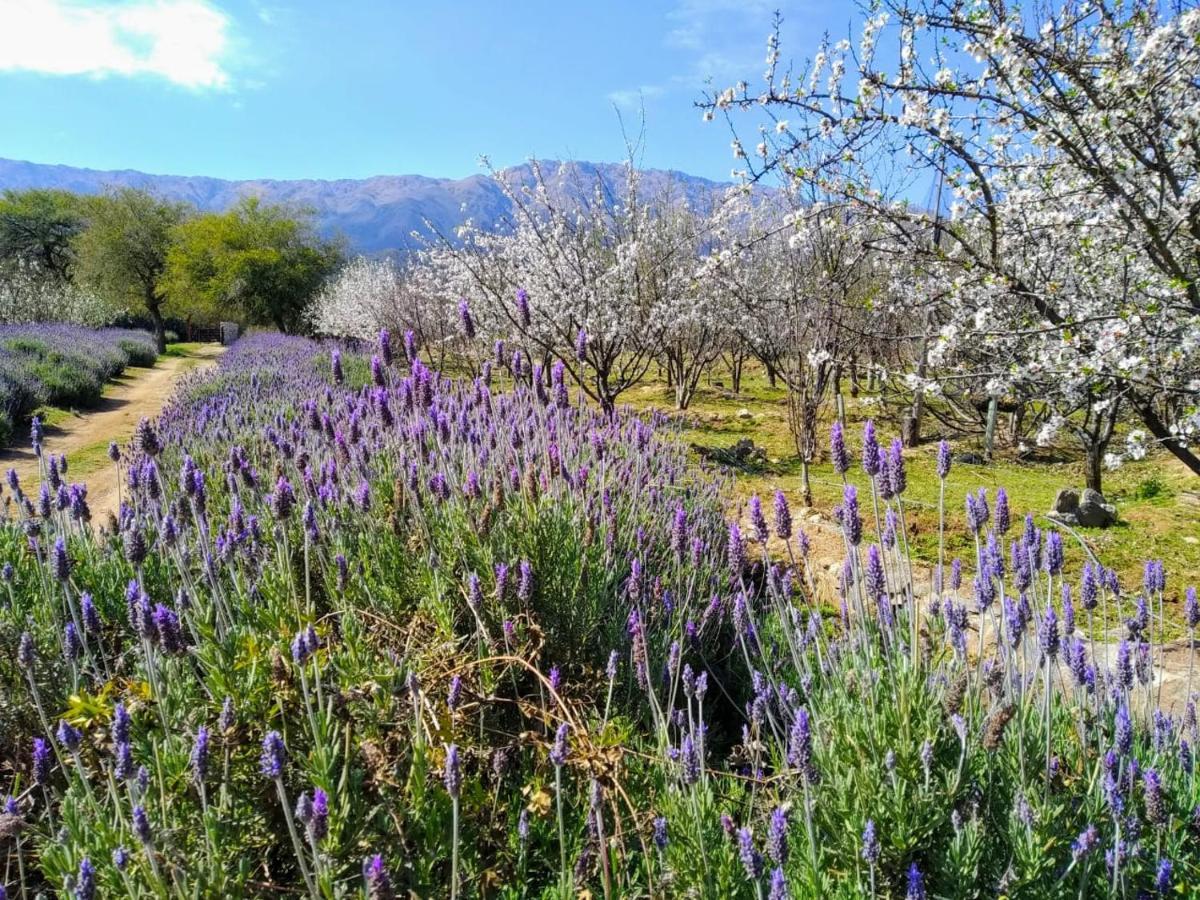 Finca La Julia Луйяба Экстерьер фото