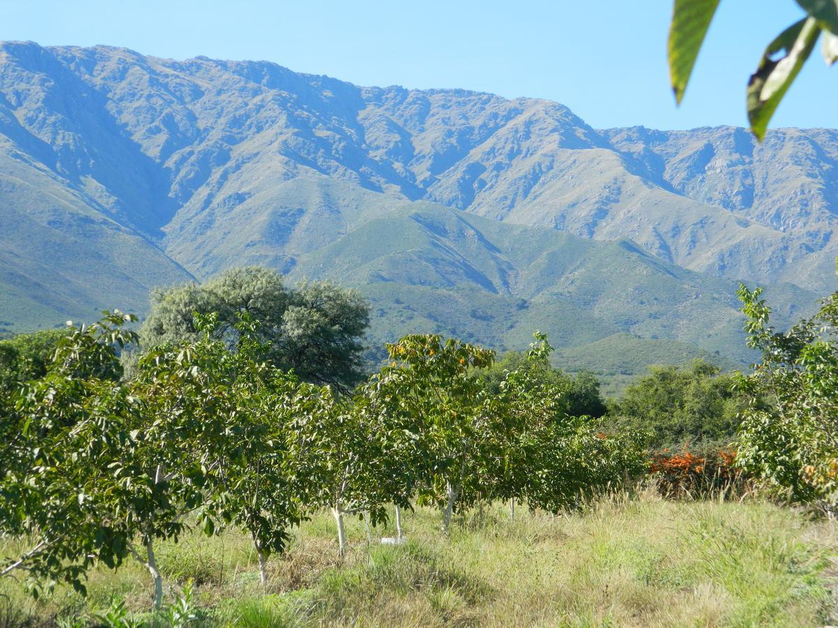 Finca La Julia Луйяба Экстерьер фото